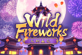 Wild Fireworks